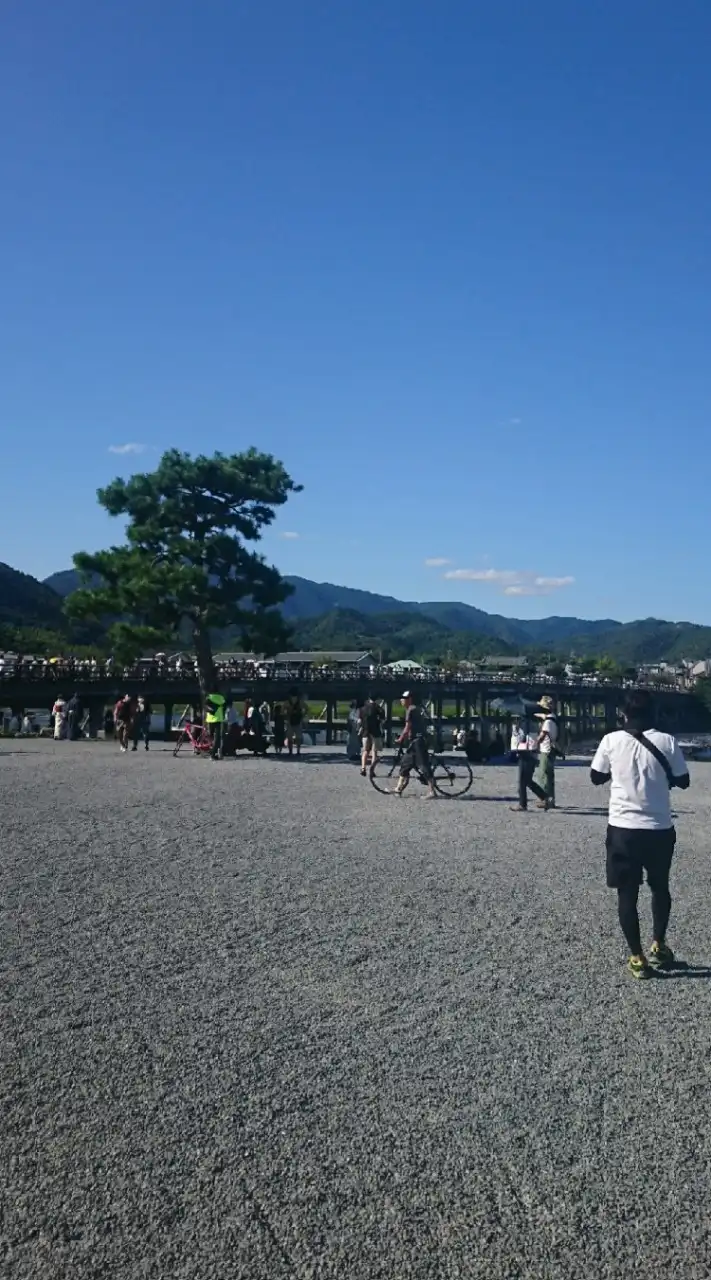 ゆるぽた大阪【企画相談部屋】