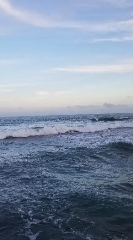 大阪湾岸倶楽部