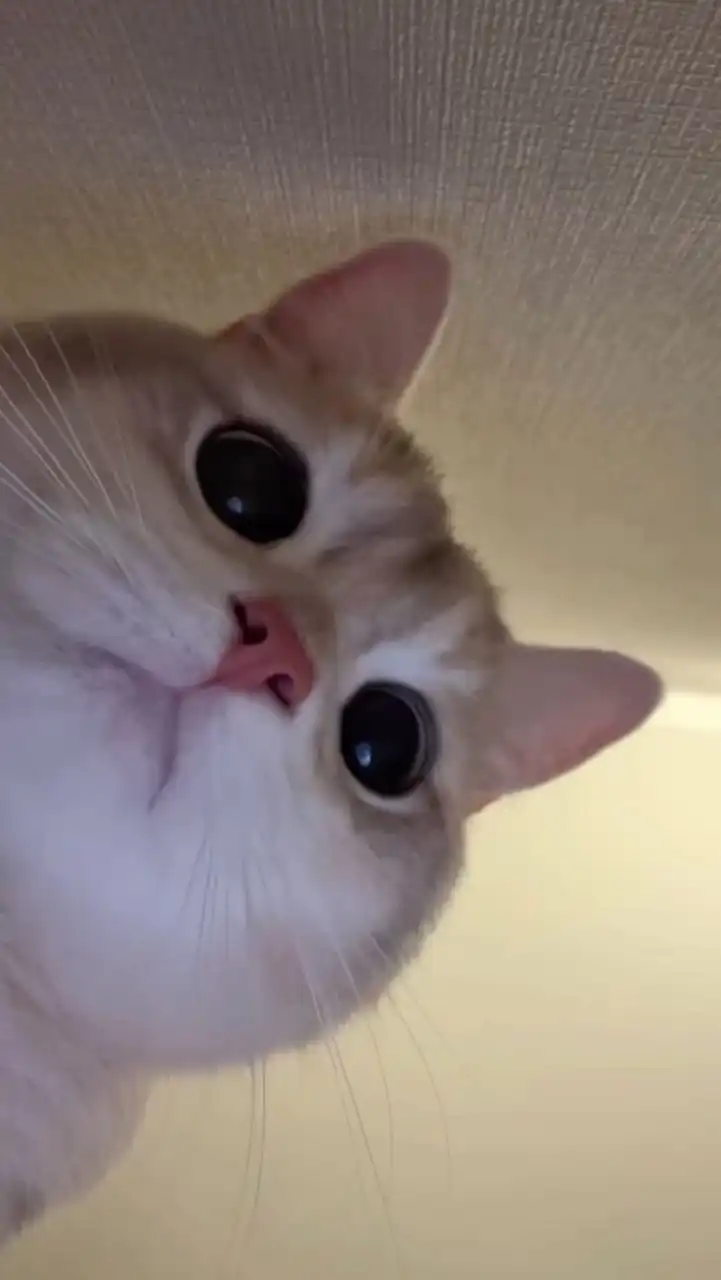 雑談