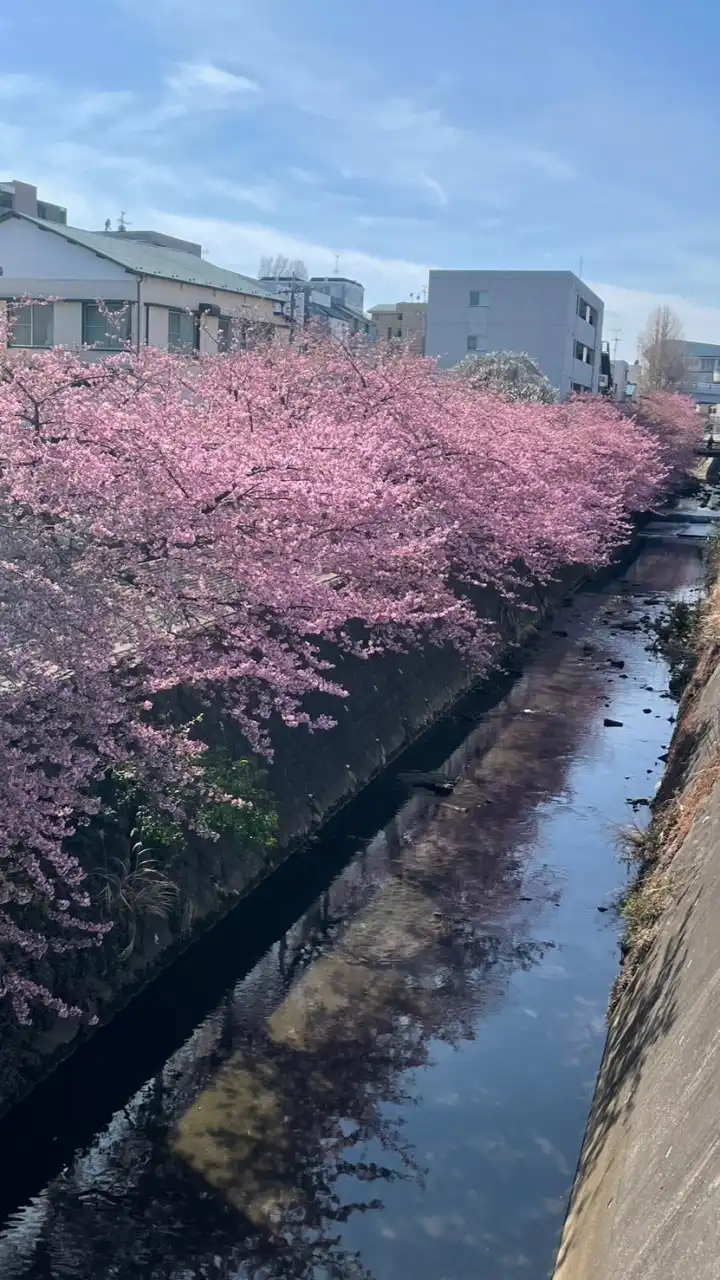 明治大学生田軟式野球部(イクナン)