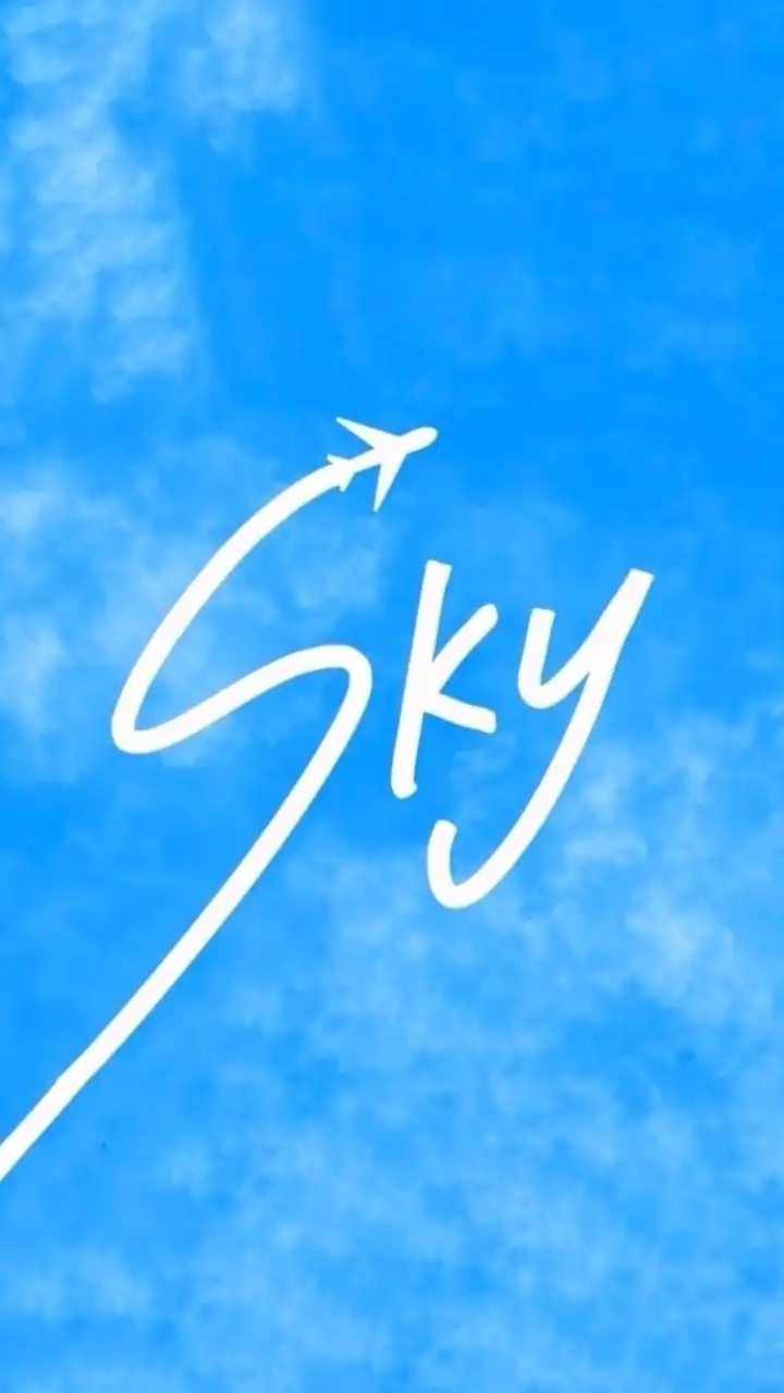 SKY 【航空業界を目指す大学生限定✈️】