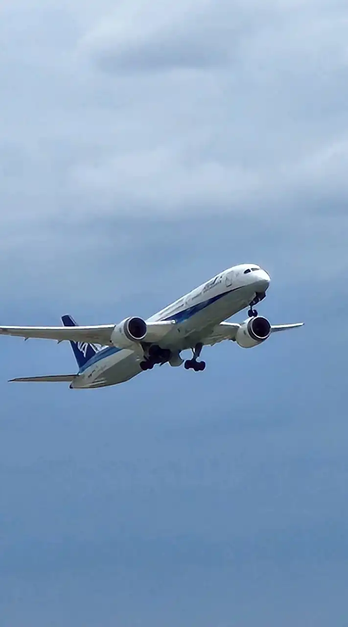 🎵赤トンボ🎶スタンプ😁だけでも🆗#60#70#80