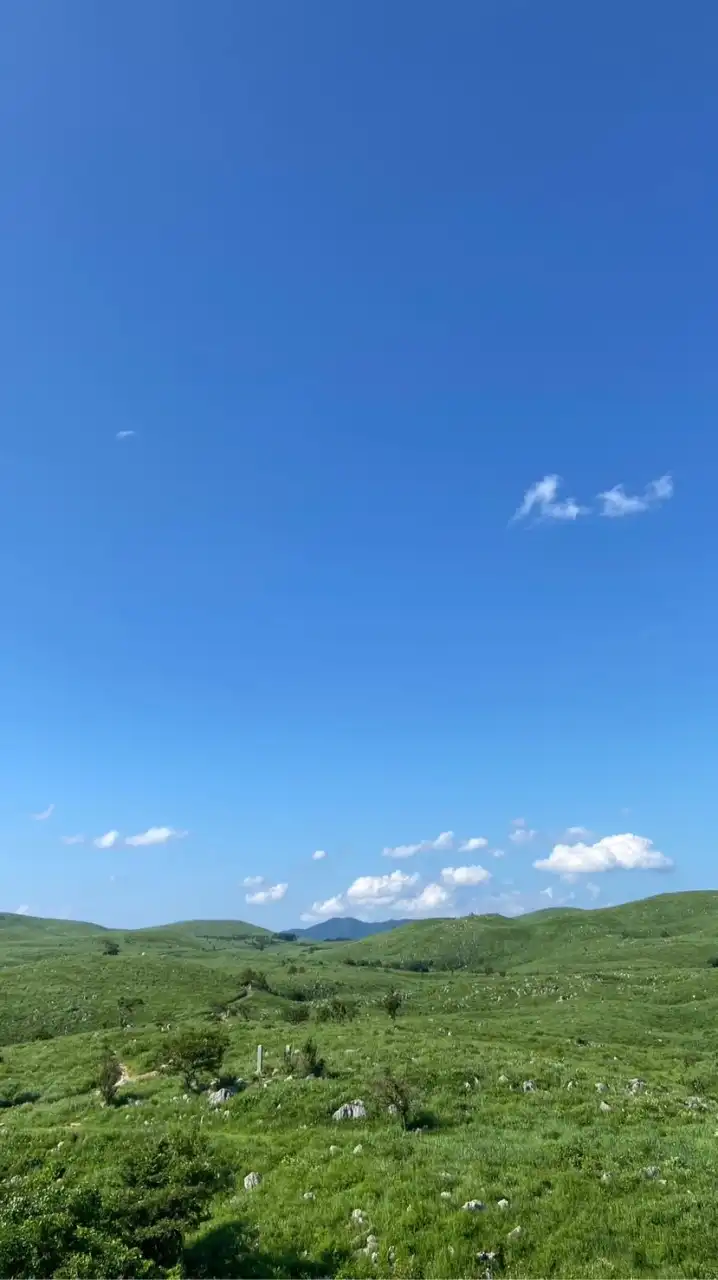 かわサポ