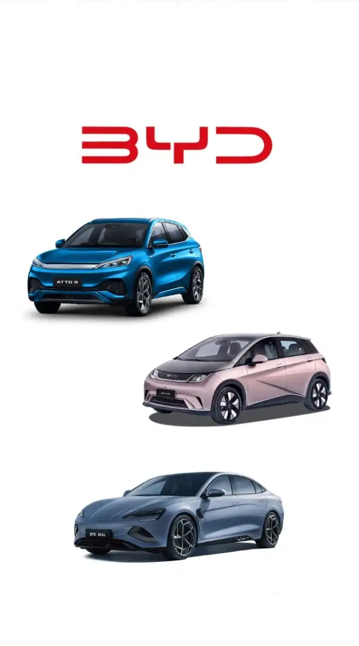 BYD好き