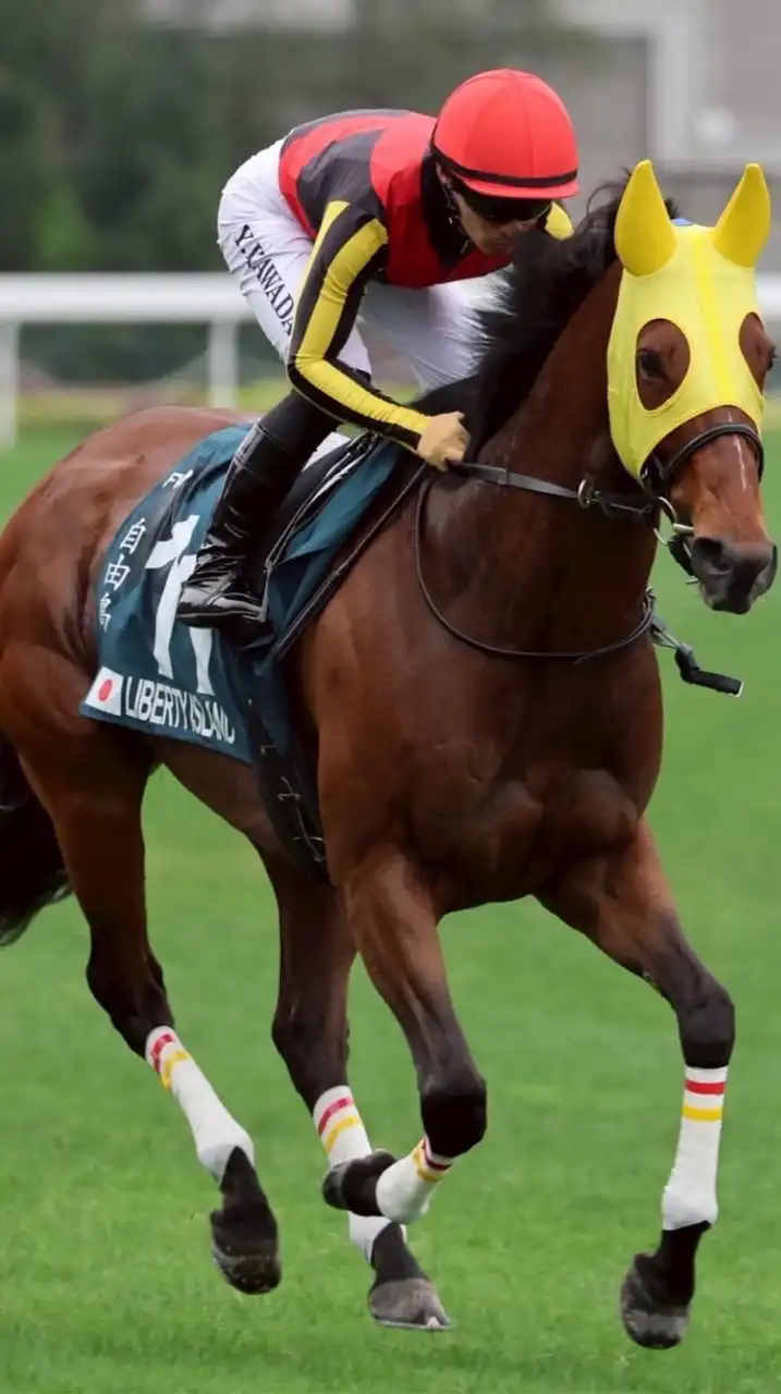 ヒヒーン🩷1発バチコン🏇ゆるゆる競馬雑談部屋🐴❤️🩵