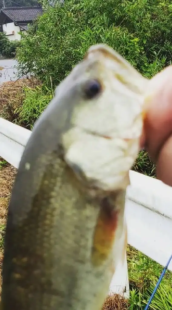 宮城県仙南バス釣り同好会