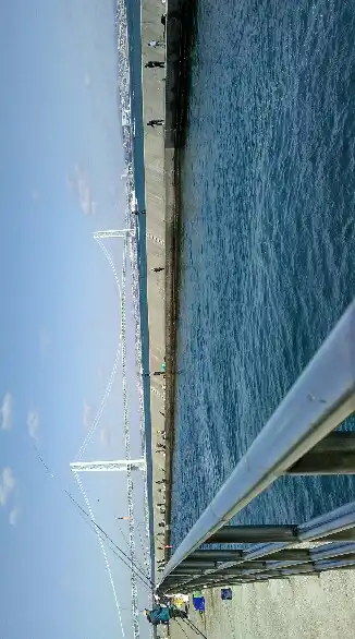 〔関西地方〕ファミリーフィッシング🎣🎣情報共有しましょう❗❗の会　サビキ釣り・穴釣り等