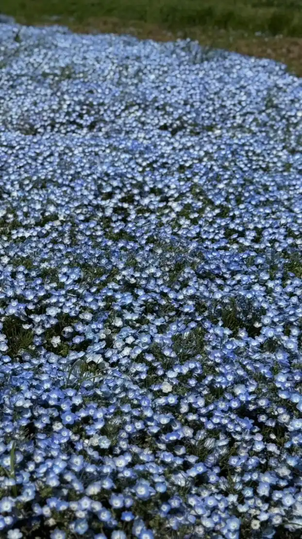 悩み　鬱　大人