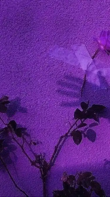 Gently