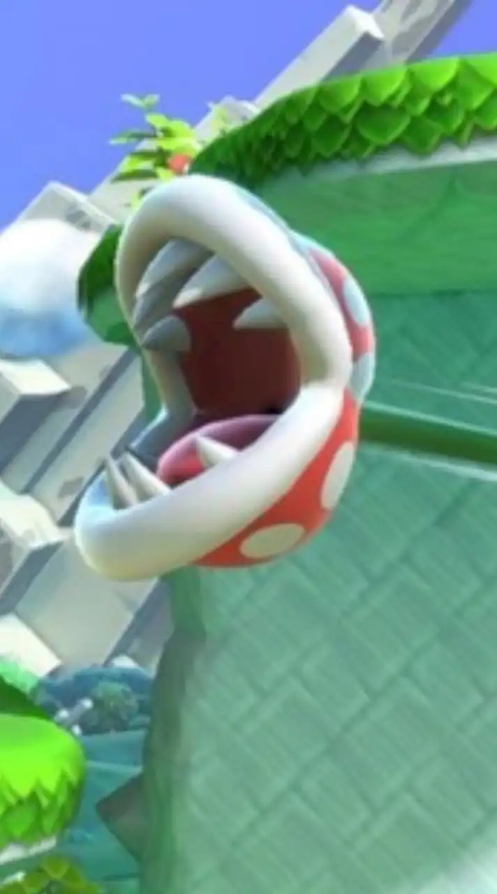 パックンフラワー(スマブラSP)