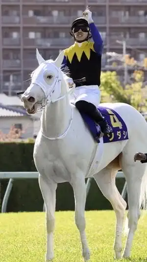 みんなで競馬やろう🐎競馬友達を作ろう！