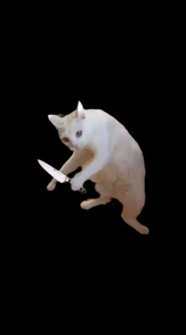 猫や猫ミーム大好きーな人集まってー