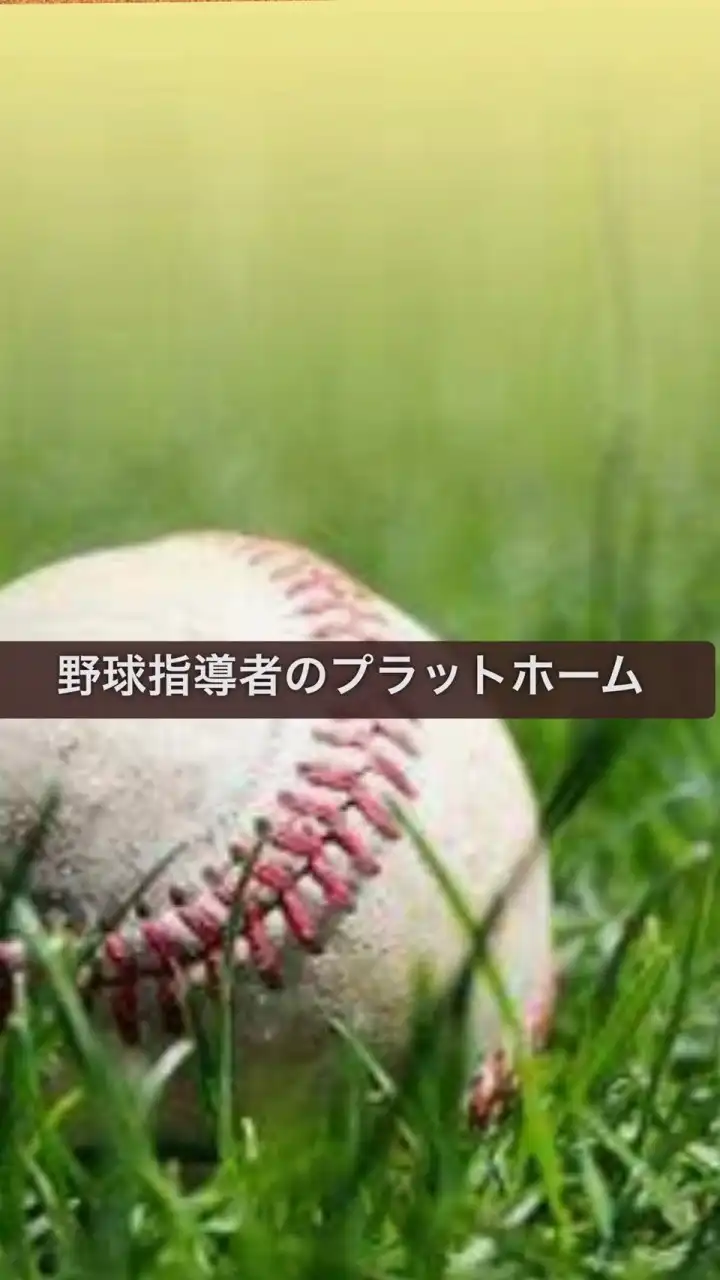 野球指導者のプラットホーム