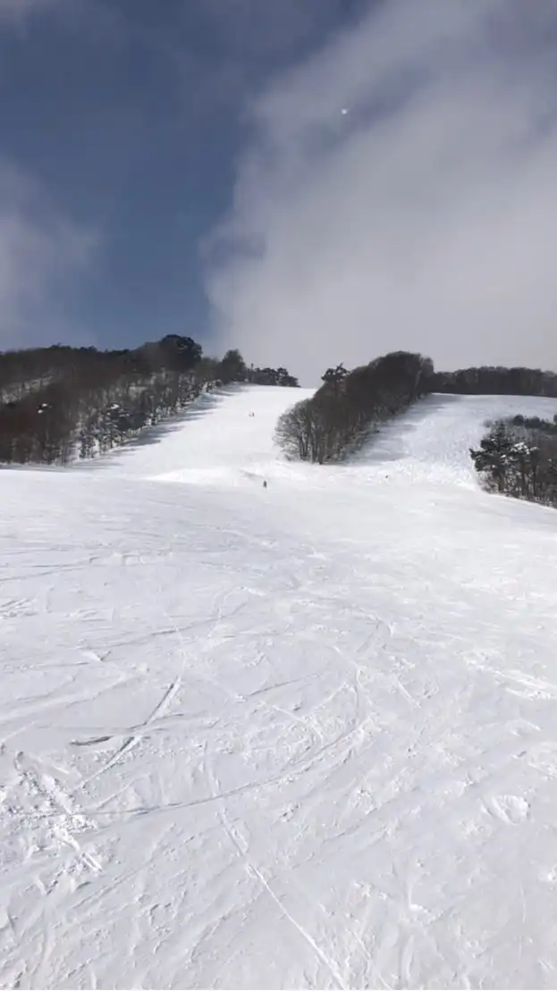 福島県２０代　スノーボード部