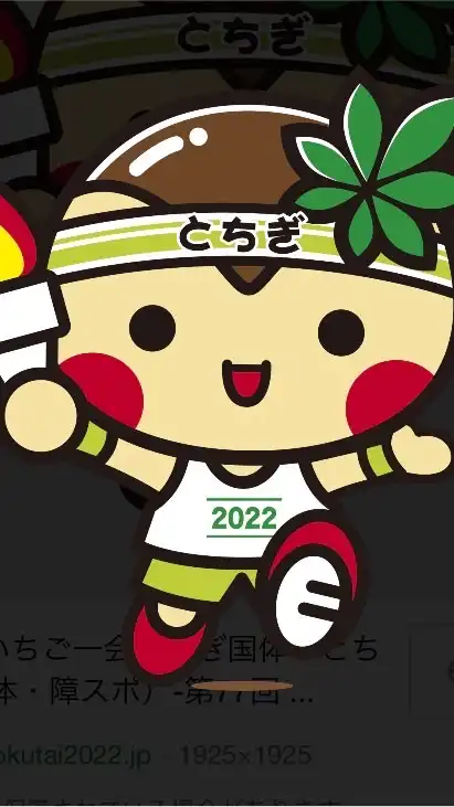 栃木国体ソフトテニス競技　役員専用