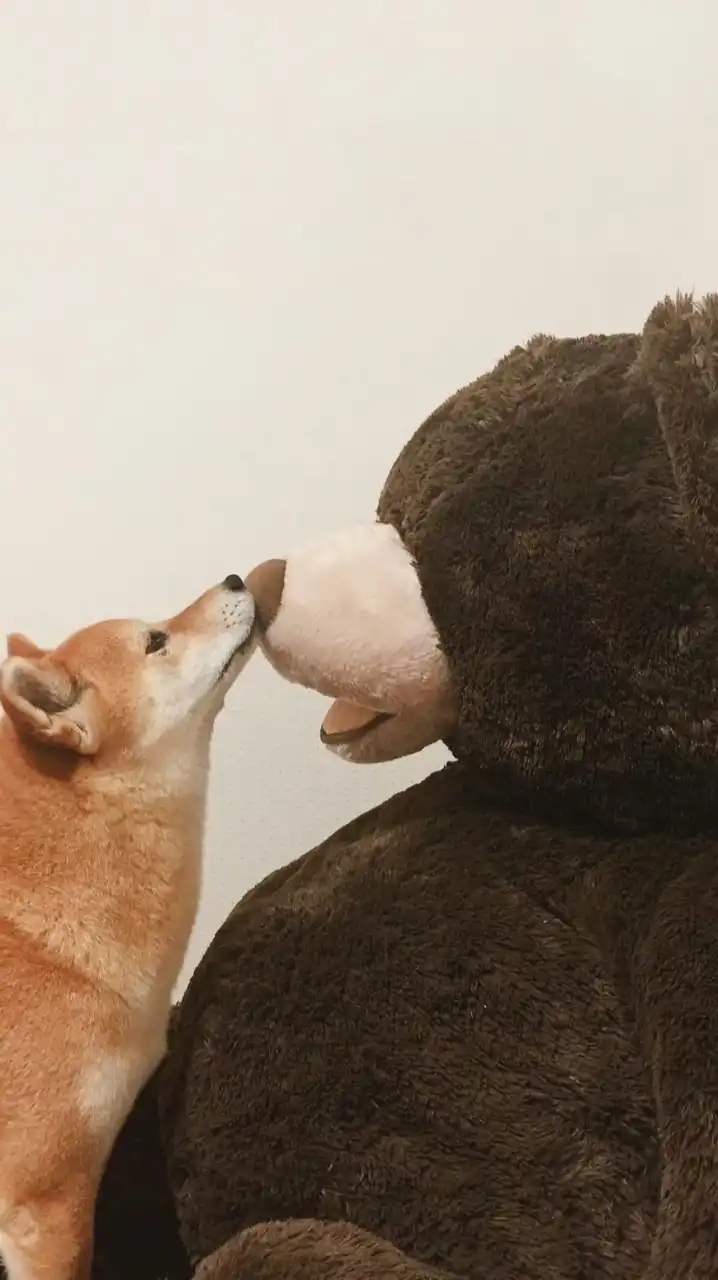 【愛知】犬友になろう会🐶🤝🏻