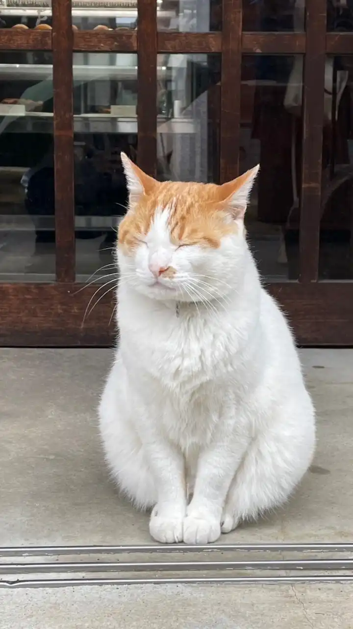 ハッピーなビジネス交流会