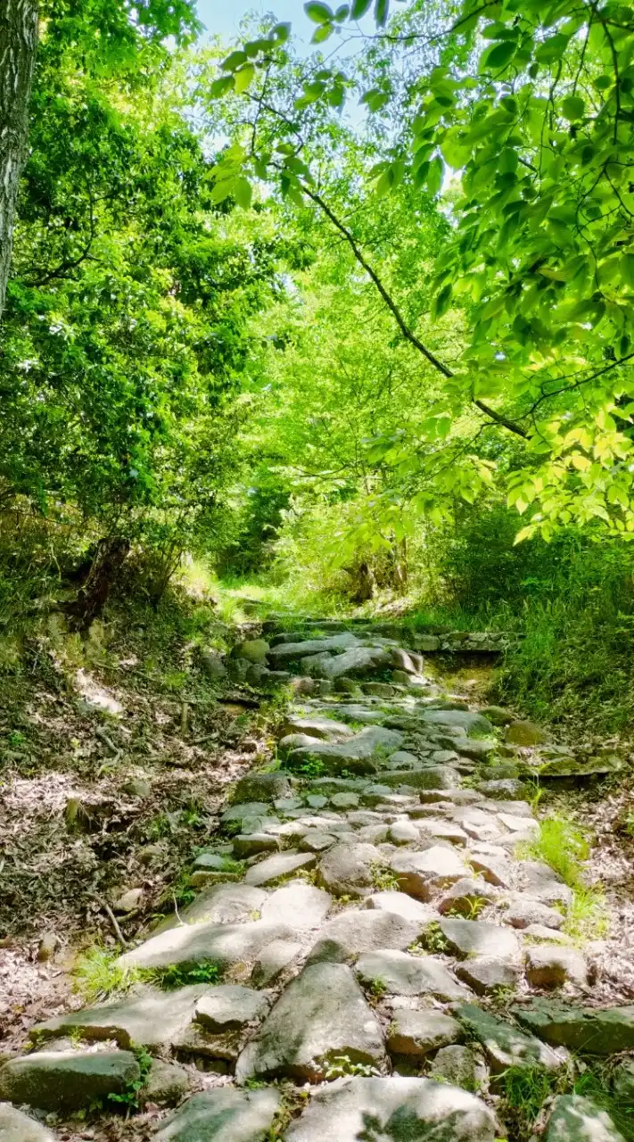 生駒山⛰ハイキング