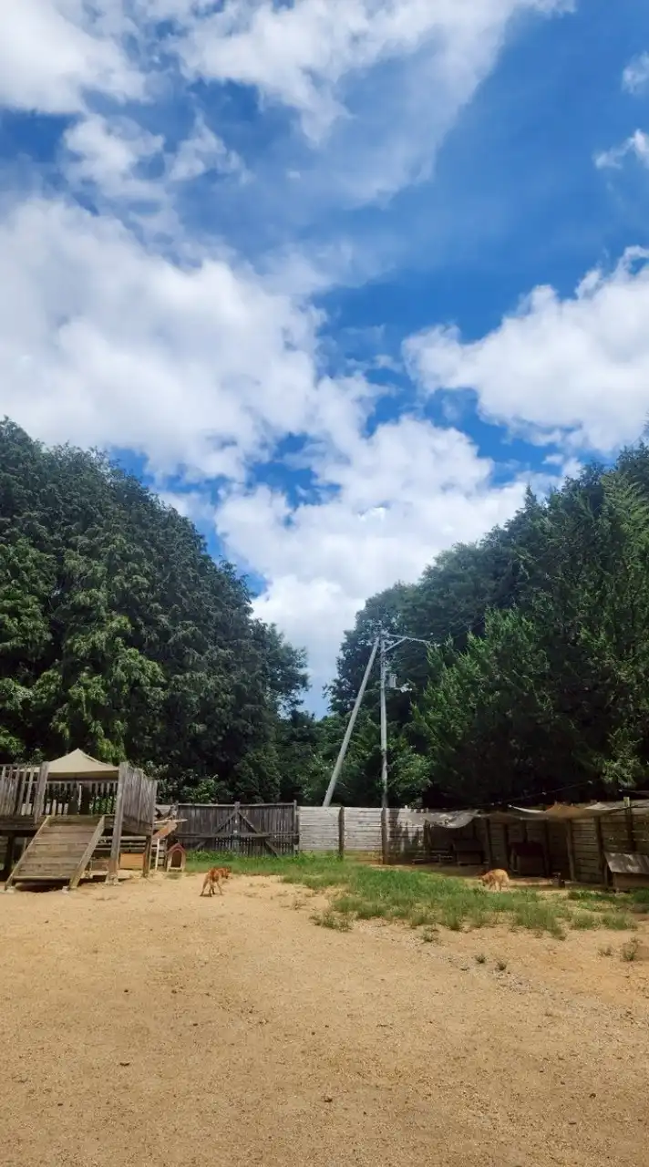 はるママの部屋