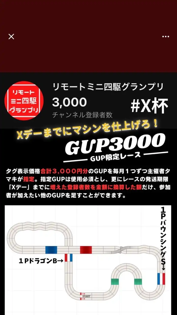 X杯 GUP3000レース