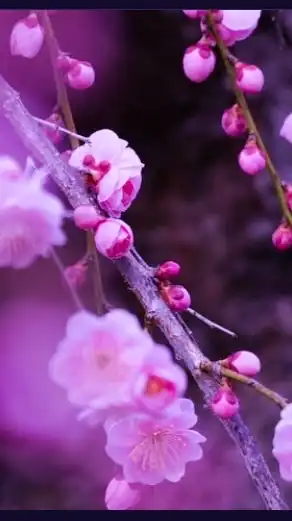 東海ソラタビ写真部〰️平日・ドローン・カメラ旅〰️