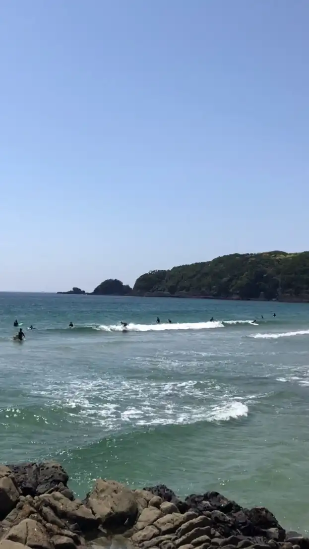 伊豆サーフィン 🌊波情報