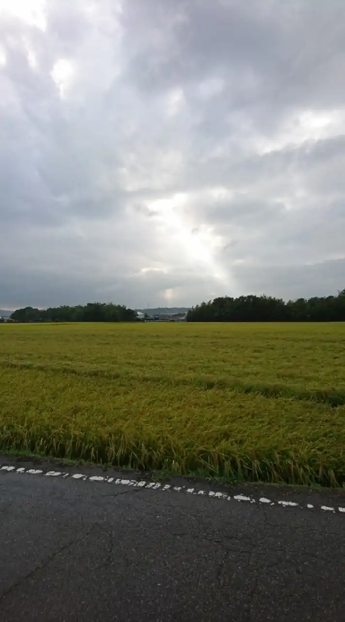 兵庫バイクツーリング友の会