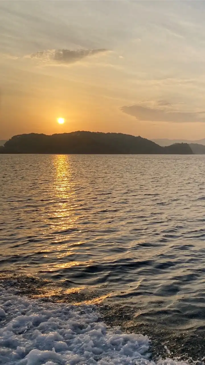 宮崎＆鹿児島の釣り好き🎣