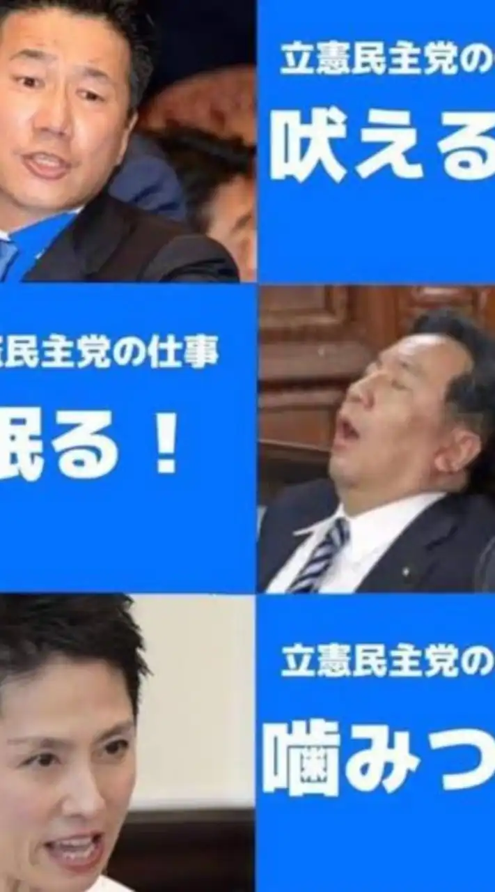 立憲民主党の暴挙と政策を批判する会　宣伝OK