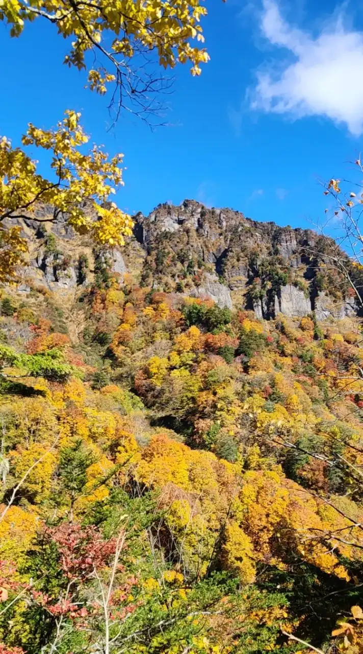 【女性限定】東海(静岡、愛知、岐阜、三重)45歳以上～のんびり登山部⛰️✨