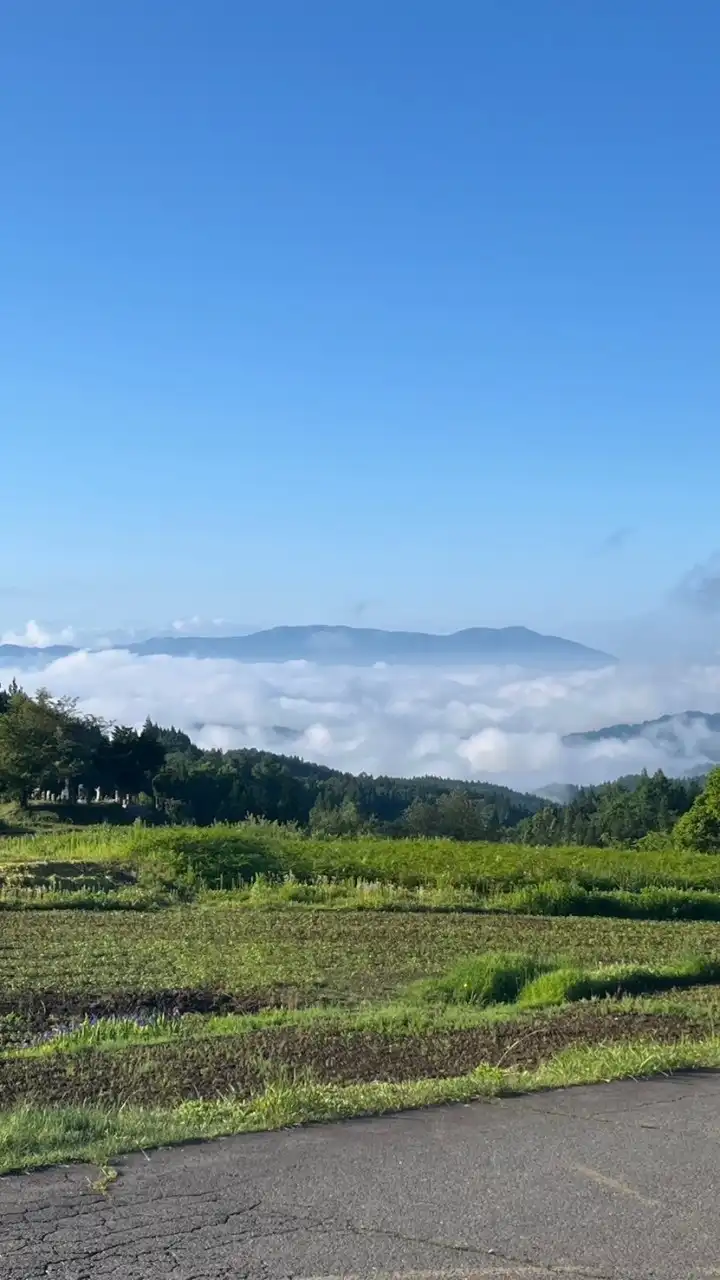 かなえ農園2024 🍀🌸🌏✨