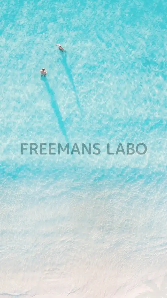 ┃ 会員限定 ┃FREEMANS LABO