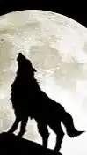 人狼ゲーム🐺