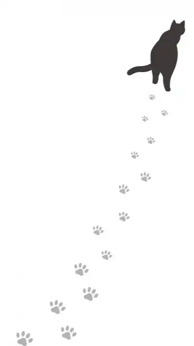 138ねこねこ族