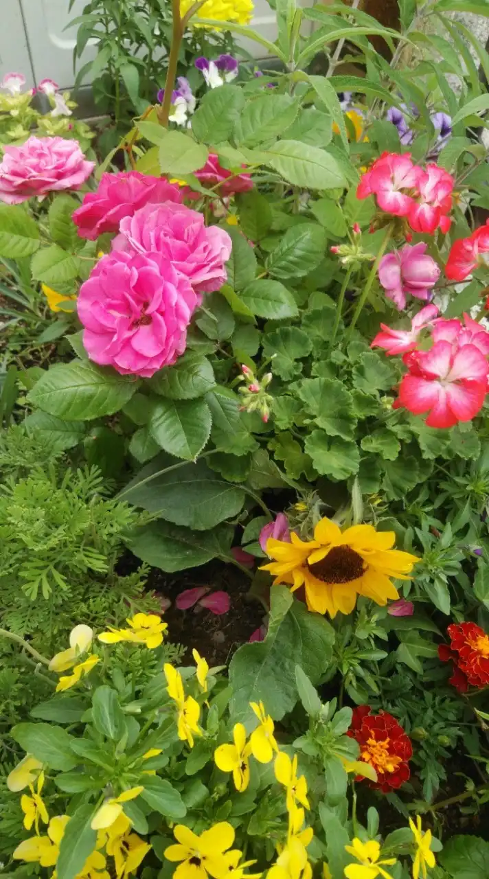 独り言🐥時には呟きに心を寄せて🌿