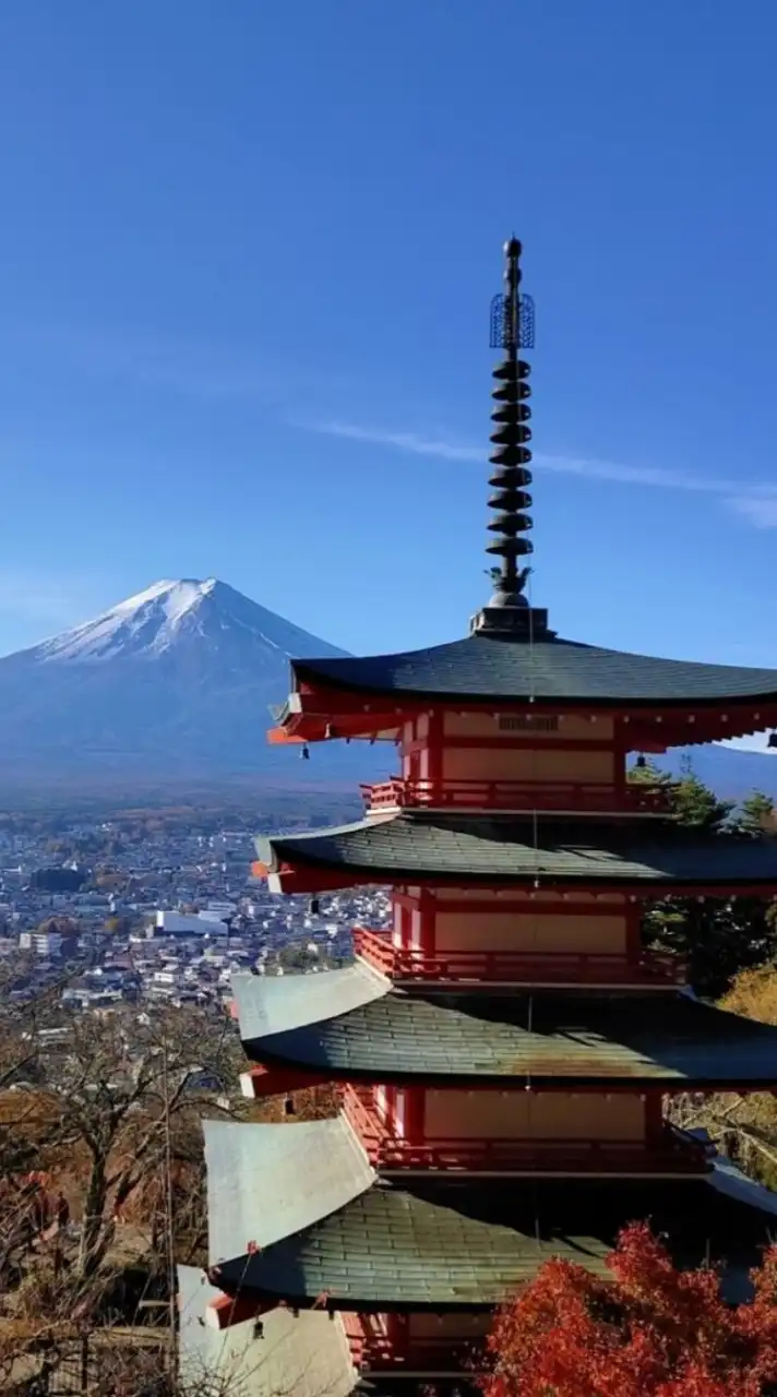 関東🌷60代50代女性限定🌷東京⛩️神奈川⛩️千葉⛩️埼玉　御朱印巡り