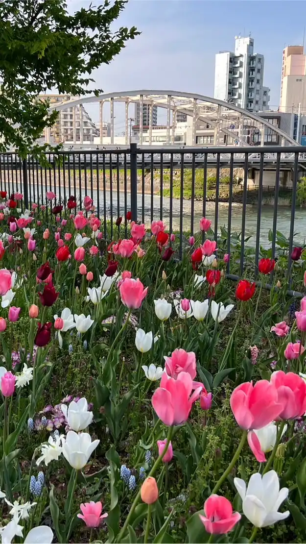 開運橋南花壇