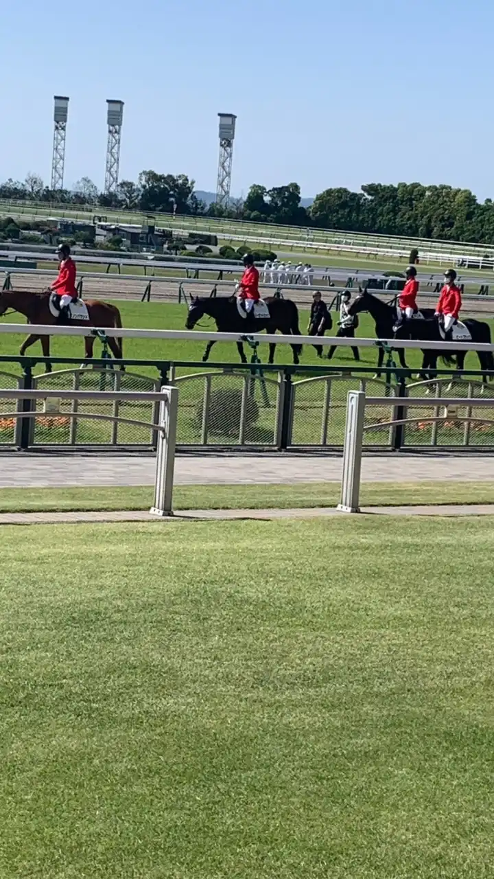 競馬場に行こう🏇