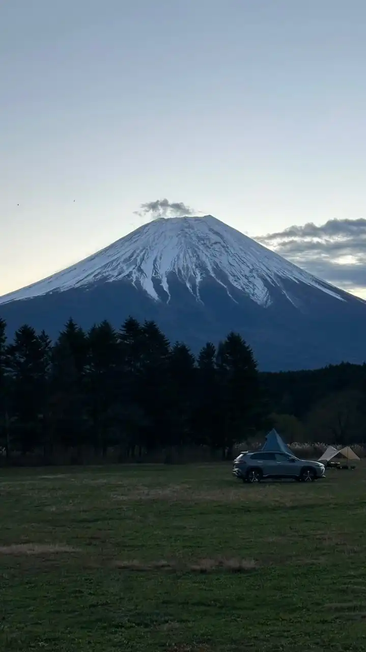 エバーテイル交流戦相談所