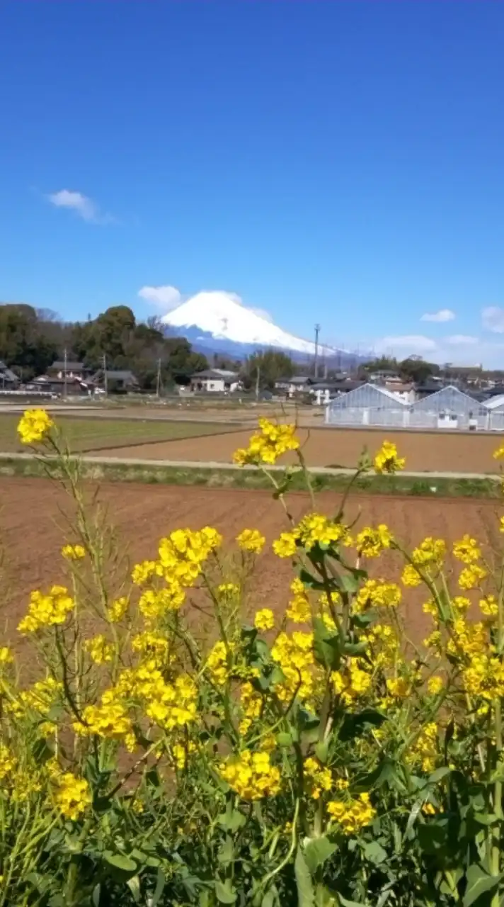 お料理、糖質塩分制限、簡単レシピ紹介しよ！　富士山歌声カフェ🍀　　　雑談あり、誰でもOK🎵