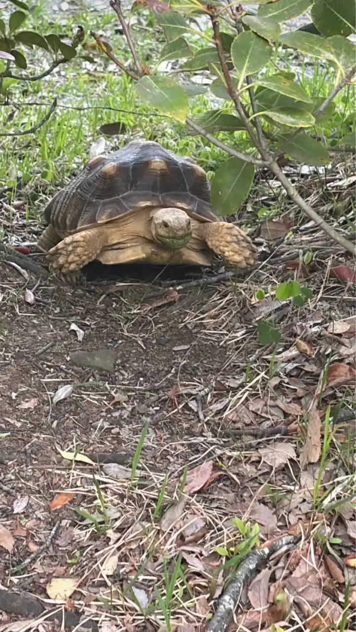 生き物好き集まれ〜❗️