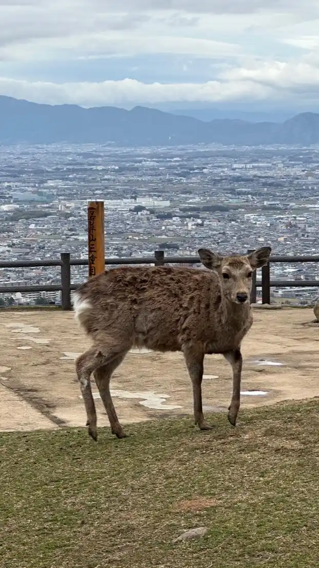 通信業界・案件・人材紹介・転職