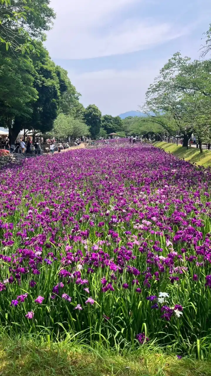 大村おでカフェ部