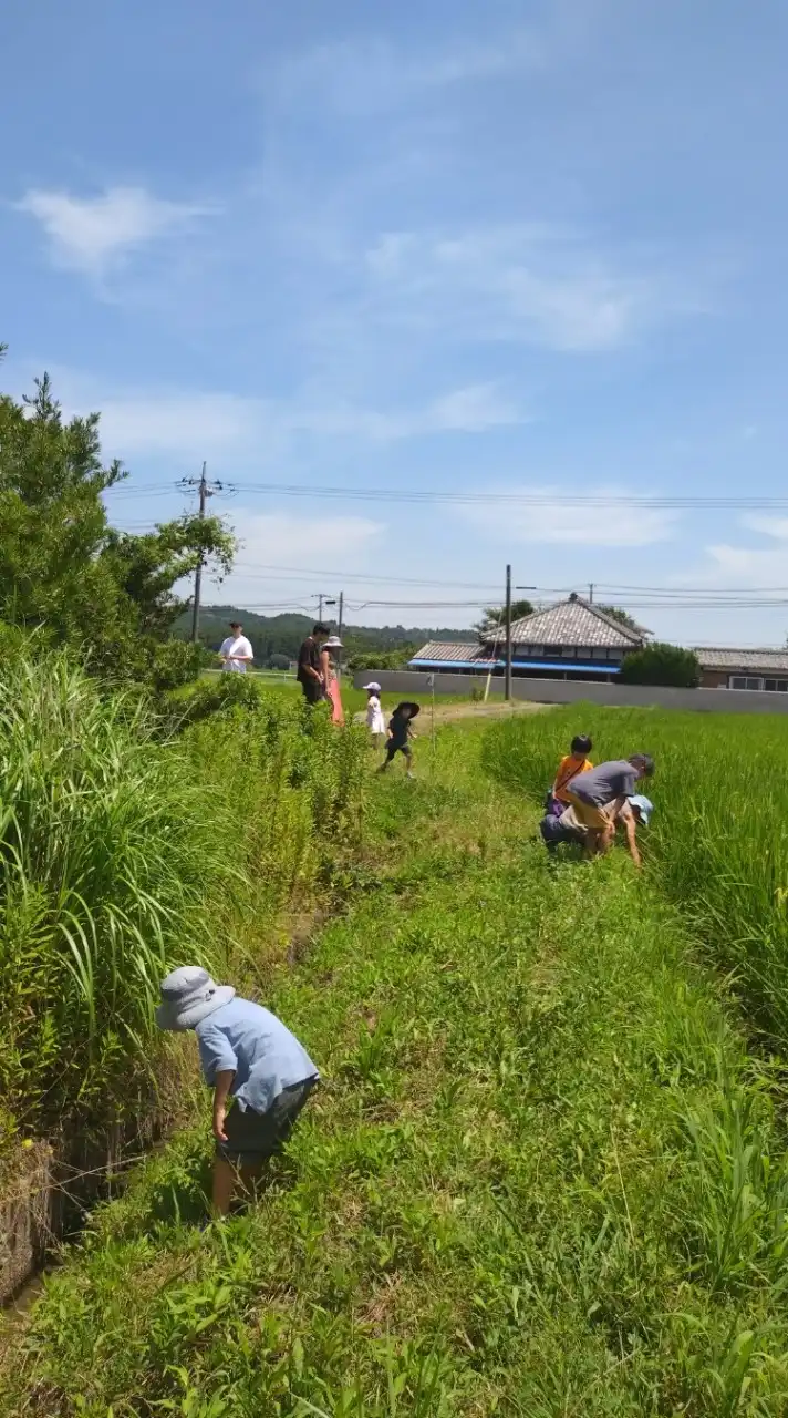 私たちの田んぼクラファン🌊🌾🍙⛰️☀🦂🧑‍🤝‍🧑🏡💕HOME千葉