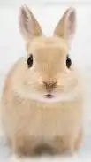 ブロフルの雑談場所