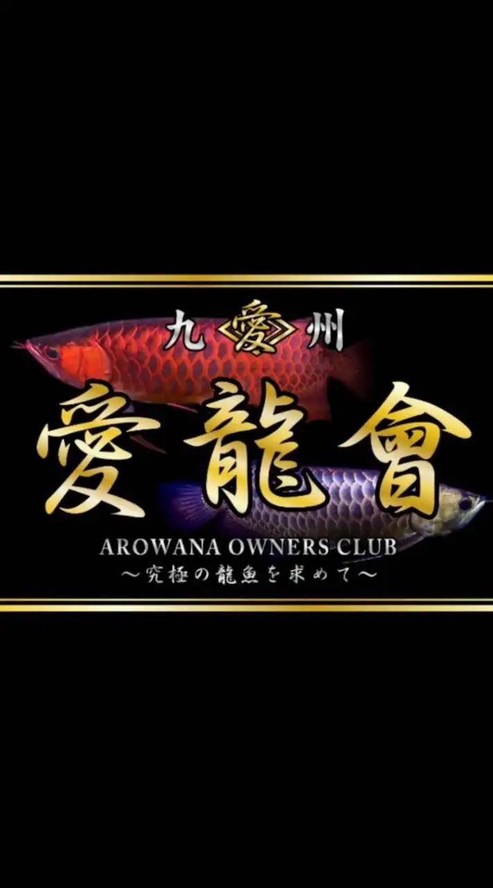 全日本龍魚愛好会✨愛龍會✨～究極の龍魚を求めて～