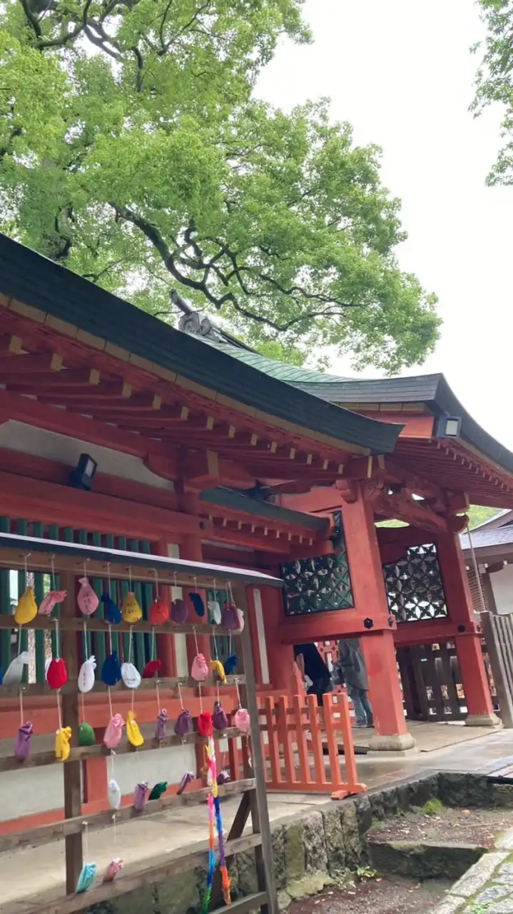 龍神会⭐︎開運神社ツアー