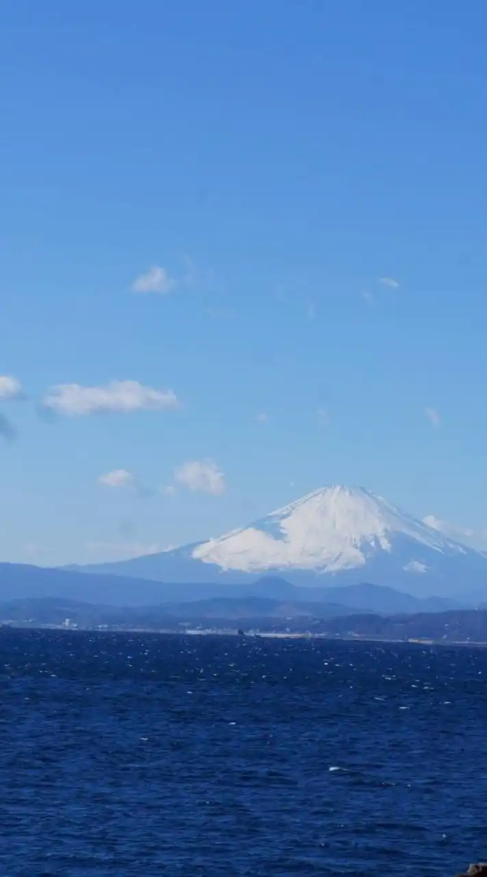アラフィフ交流広場ピース☆趣味、人生、何でも語ろう