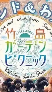 タケピ2024秋　　　　わんわんアイランド