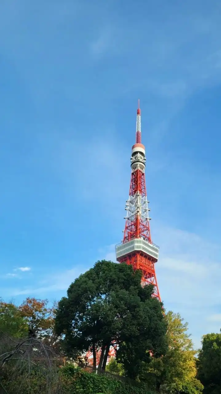 世界平和を願い〜出来ることから少しずつ✨️